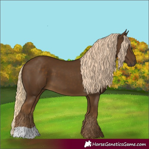 Horse Color:Chocolate Palomino