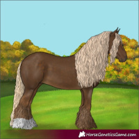 Horse Color:Chocolate Palomino 