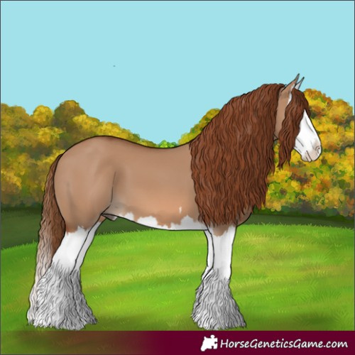 Horse Color:Red Dun Splash 
