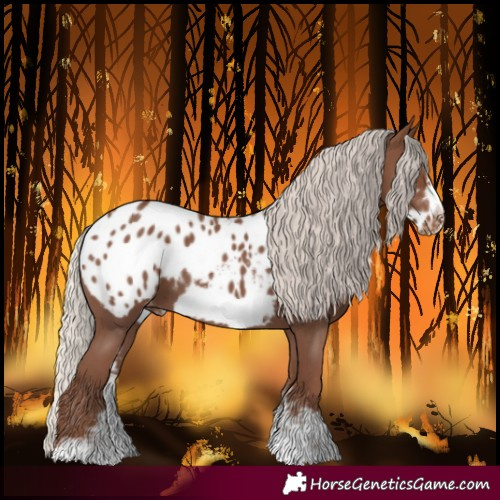 Horse Color:Silver Black Sabino Frame Blanket