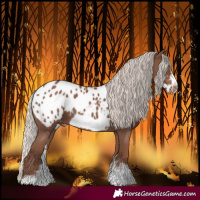 Horse Color:Silver Black Sabino Frame Blanket 