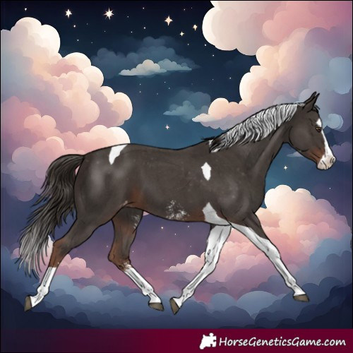 Horse Color:Liver Chestnut Sabino Splash Tobiano Varnish