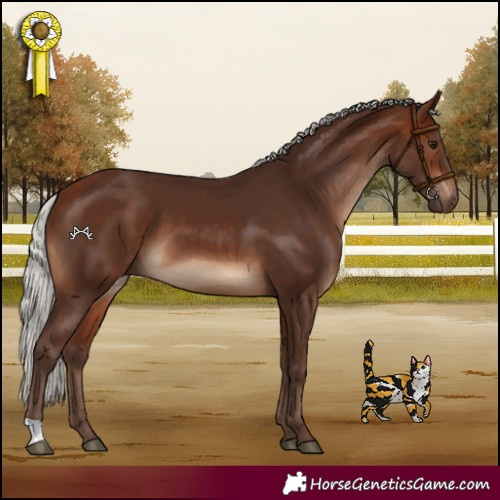 Horse Color:Silver Brown