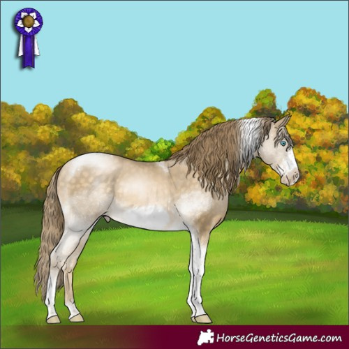 Horse Color:Buckskin Pearl Tobiano Frame 