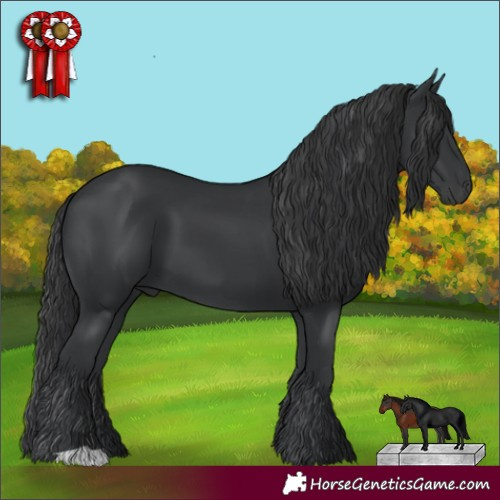 Horse Color:Black 