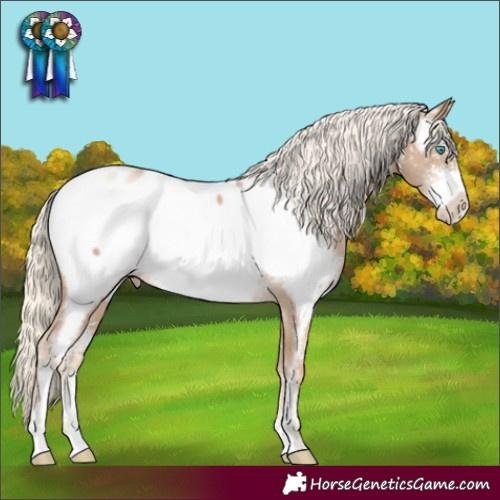 Horse Color:Chocolate Palomino Pearl Sabino Appaloosa Rabicano