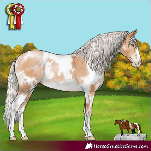 Horse Color:White Spotted Silver Bay Pearl 
