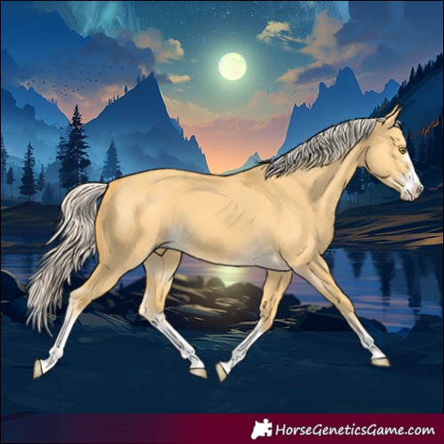 Horse Color:Palomino Dun 