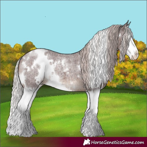 Horse Color:White Spotted Chocolate Silver Brown Roan Splash 