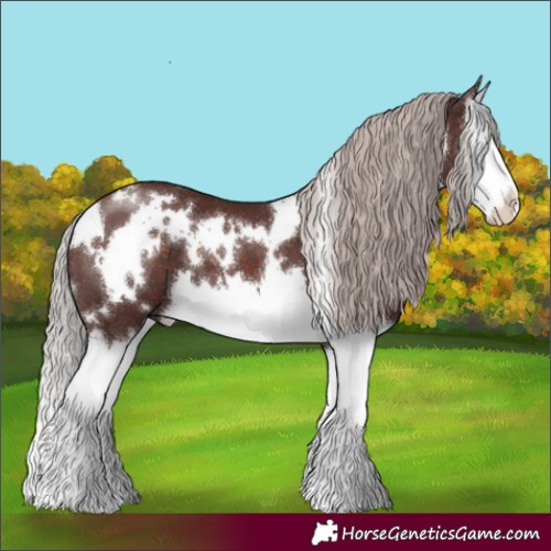 Horse Color:White Spotted Chocolate Silver Brown Splash