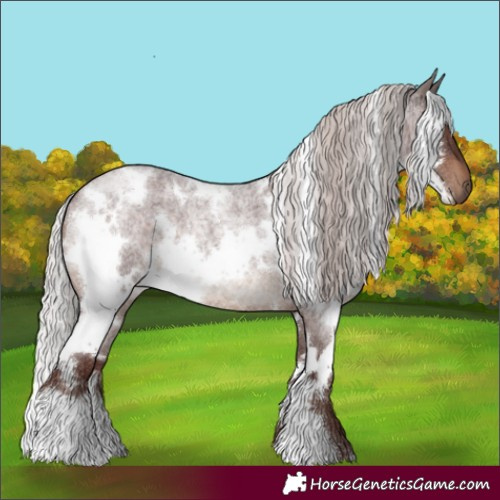 Horse Color:White Spotted Chocolate Silver Brown Roan 