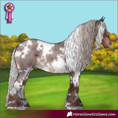 Horse Color:White Spotted Chocolate Silver Brown Roan 