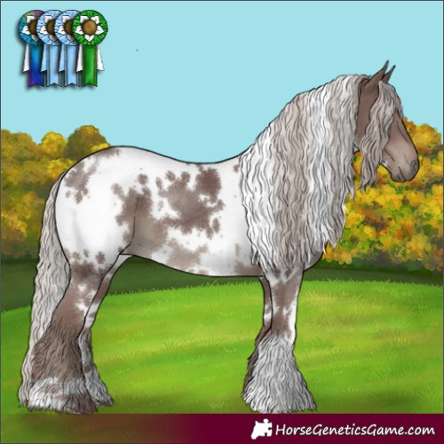 Horse Color:White Spotted Chocolate Silver Black