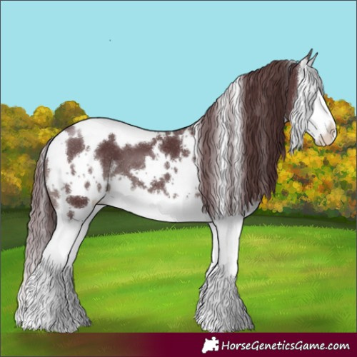 Horse Color:White Spotted Chocolate Black Splash