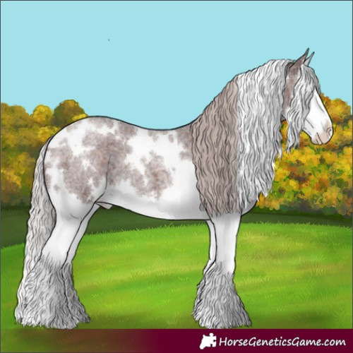 Horse Color:White Spotted Chocolate Silver Brown Roan Splash 