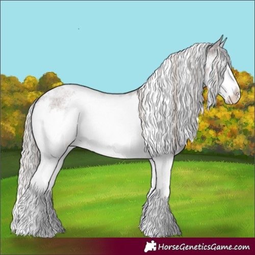Horse Color:White Spotted Chocolate Silver Blue Roan Splash 