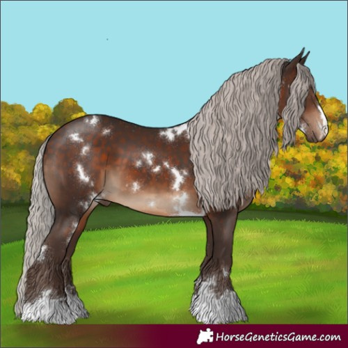 Horse Color:White Spotted Silver Brown 