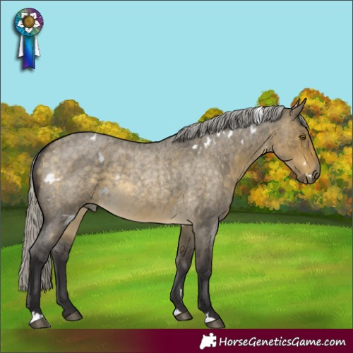 Horse Color:White Spotted Silver Buckskin Roan Dun Brindle 