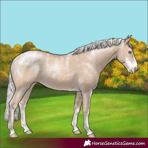 Horse Color:Powder White Silver Smoky Creme Sabino 