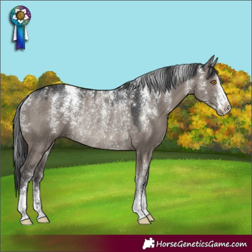 Horse Color:Powder White Grullo Rabicano