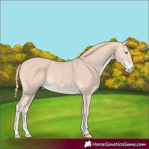 Horse Color:Perlino