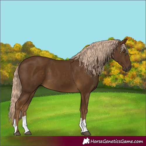 Horse Color:Chocolate Palomino