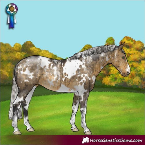 Horse Color:Powder White White Spotted Silver Buckskin Dun Rabicano Brindle