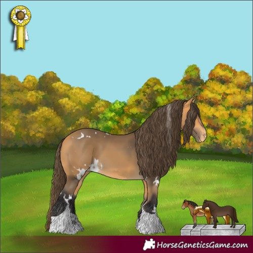 Horse Color:White Spotted Buckskin Tobiano Appaloosa 