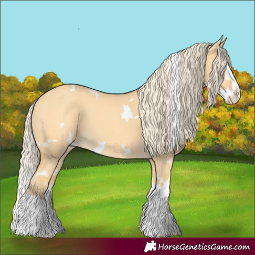 Horse Color:White Spotted Gold Cream Champagne Dun Splash