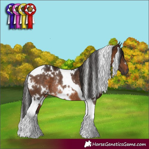 Horse Color:Gray White Spotted Bay Tobiano Rabicano 