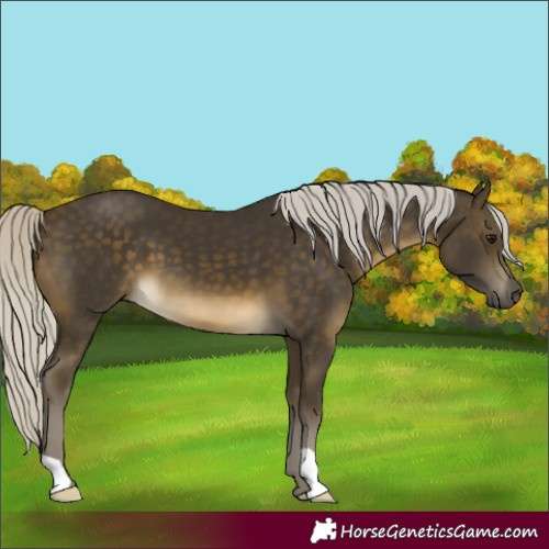 Horse Color:Silver Buckskin