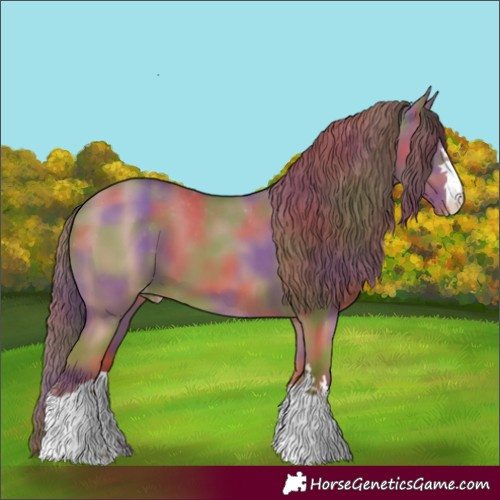 Horse Color:Nacre Classic Champagne Dun Appaloosa