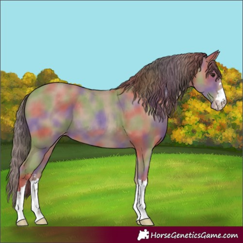 Horse Color:Nacre Classic Champagne Varnish 