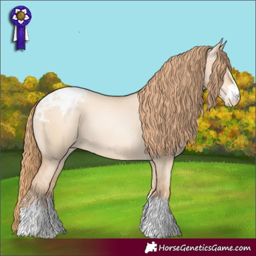 Horse Color:Gold Champagne Pearl Dun Blanket 