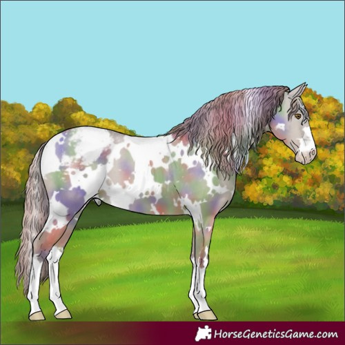 Horse Color:Nacre White Spotted Classic Cream Champagne Dun Appaloosa