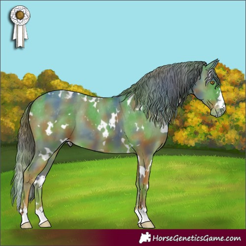 Horse Color:Nacre White Spotted Classic Cream Champagne Appaloosa