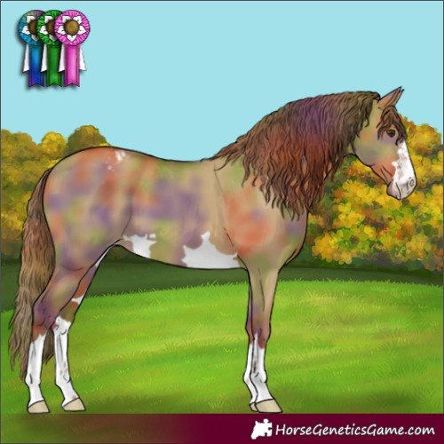 Horse Color:Nacre Red Dun Varnish