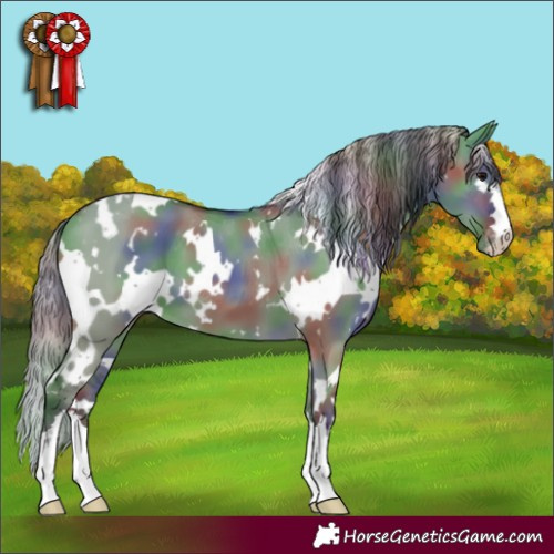 Horse Color:Nacre White Spotted Grullo Varnish