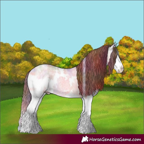 Horse Color:Nacre White Spotted Sable Champagne Ice Onyx Splash Appaloosa