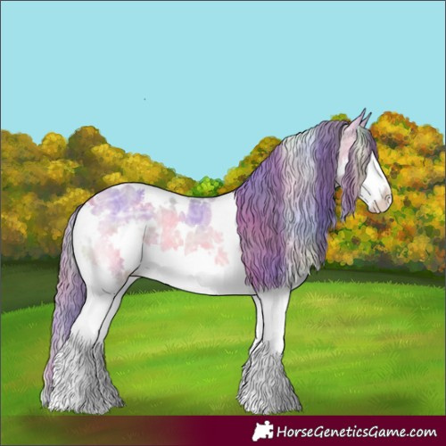 Horse Color:Nacre Watercolor White Spotted Sable Champagne Ice Onyx Splash Appaloosa