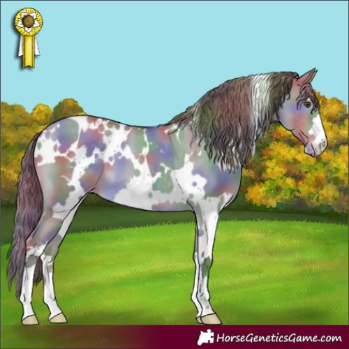 Horse Color:Nacre White Spotted Classic Champagne Dun Varnish