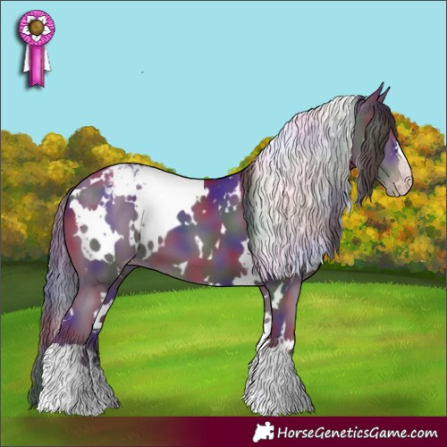 Horse Color:Gray Nacre White Spotted Classic Champagne Appaloosa