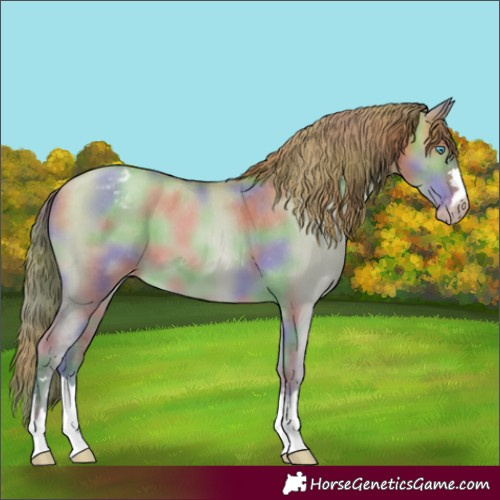 Horse Color:Gray Nacre Buckskin Pearl Dun Merle Appaloosa