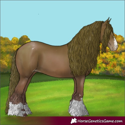 Horse Color:Gray Black Pearl Appaloosa