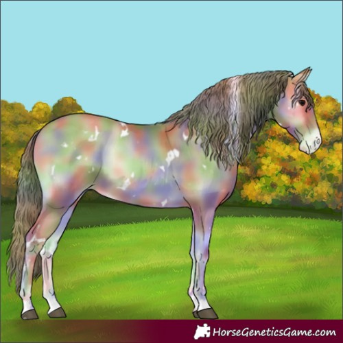 Horse Color:Nacre White Spotted Blue Onyx Pearl Appaloosa 