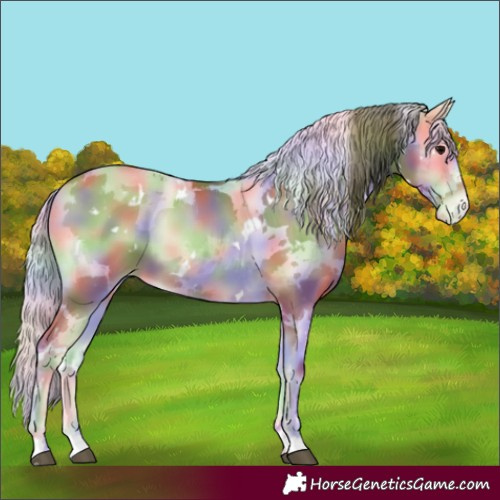 Horse Color:Nacre White Spotted Blue Onyx Pearl Harlequin Merle Varnish