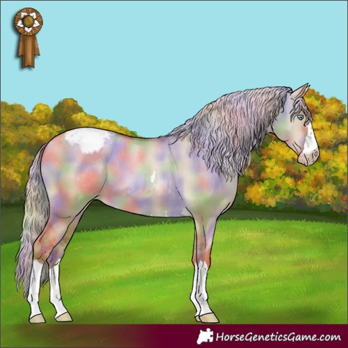 Horse Color:Gray Nacre Palomino Pearl Dun Appaloosa 