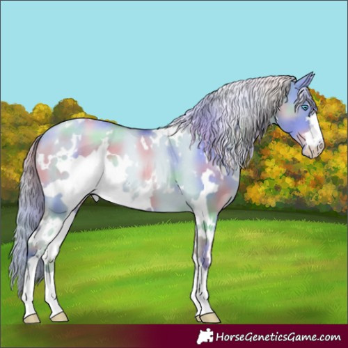 Horse Color:Nacre White Spotted Gold Champagne Pearl Dun Appaloosa
