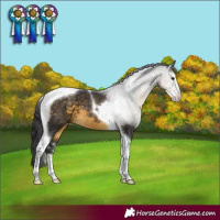 Horse Color:Buckskin Sabino Tobiano 