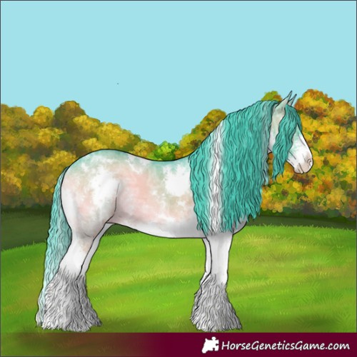 Horse Color:Watercolor White Spotted Blue Onyx Ice Sabino Splash Appaloosa